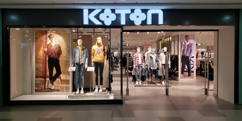koton-ryad-2
